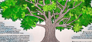 The Tree Story